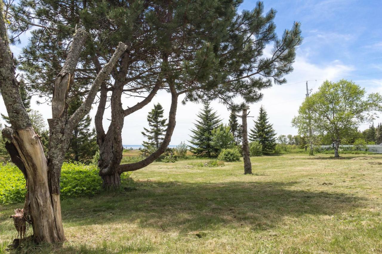 Fox Point Inn Parrsboro Ngoại thất bức ảnh