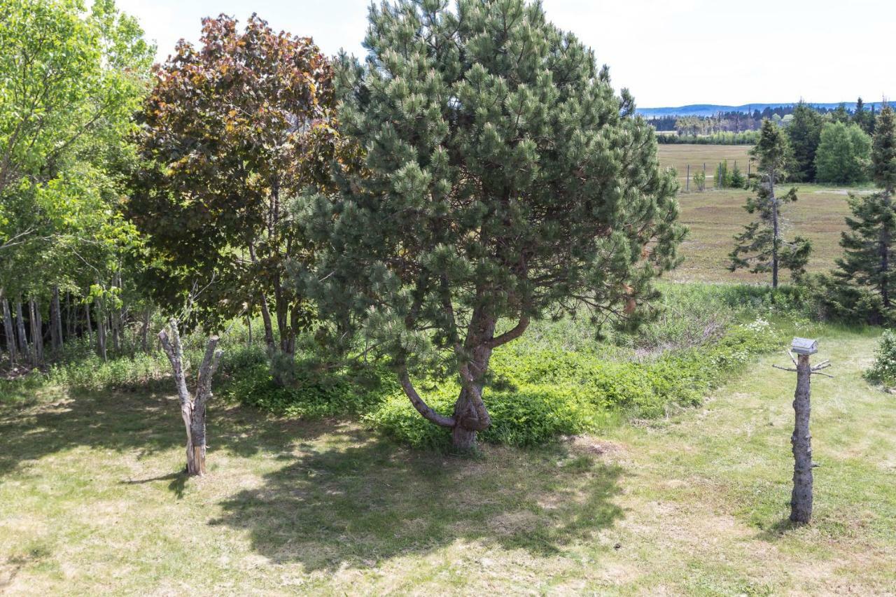 Fox Point Inn Parrsboro Ngoại thất bức ảnh