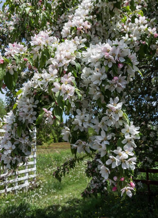Fox Point Inn Parrsboro Ngoại thất bức ảnh